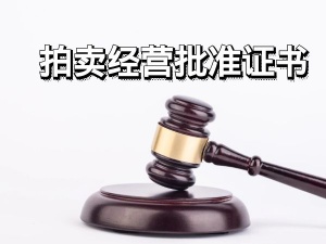 上海注册拍卖公司拍卖师人员拍卖经营许可